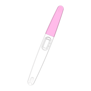 Pregnancy Test Strips